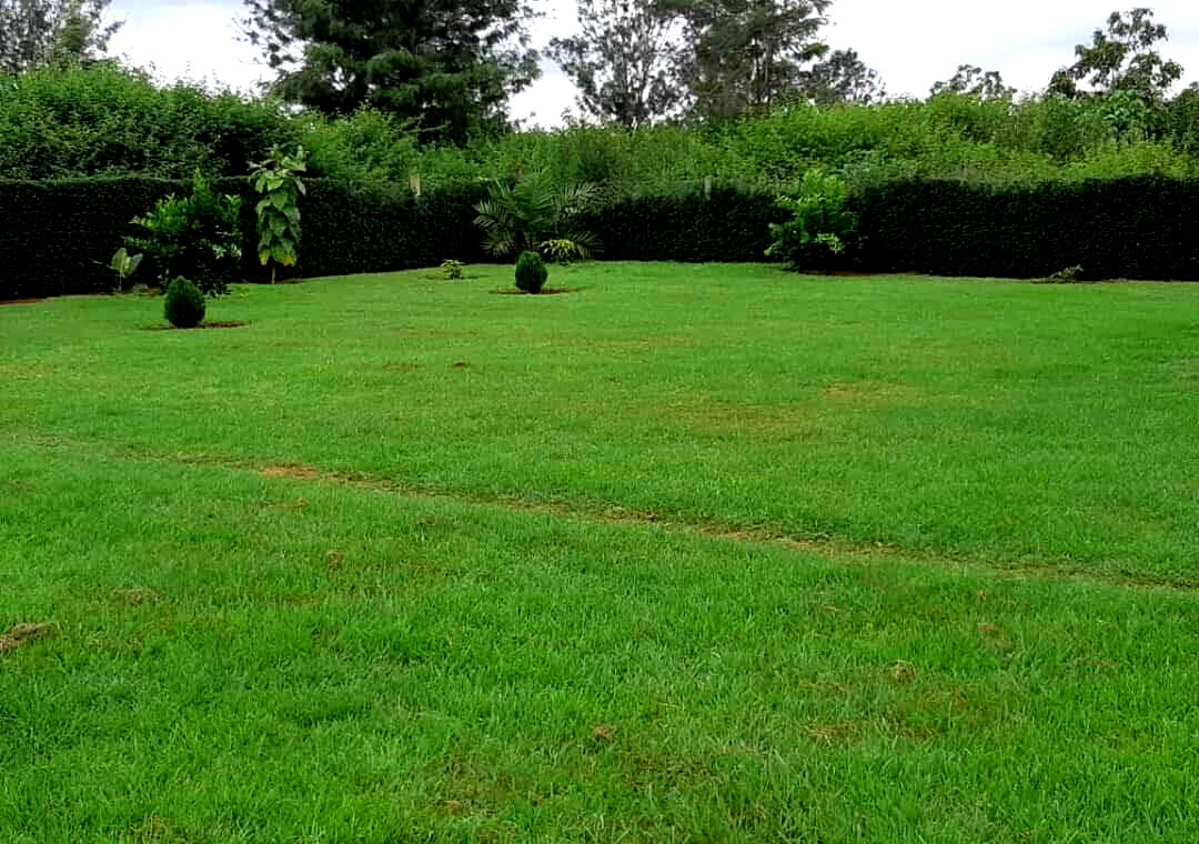0.6 Acre Runda Gem with Garden