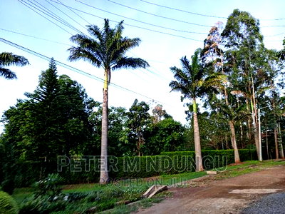 Prime Muthaiga North Country Villas 0.5 Acres - Image 2