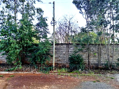 Prime Muthaiga North Country Villas 0.5 Acres - Image 6
