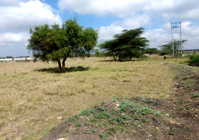 50x100 Garden Plot at KSh 1.3M