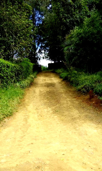 10-Acre Garden Plot with Parking - Limuru