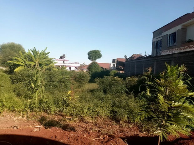 Ruiru Ukombozi Estate 50 by