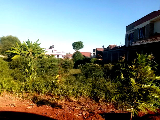 Ruiru Ukombozi Estate 50 by