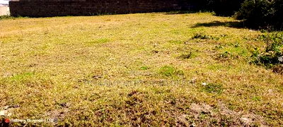 Quick Sale, 1/4 Plot (TWO PLOTS) on Sale in Molo Town at 6.8M - Image 1