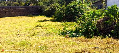 Quick Sale, 1/4 Plot (TWO PLOTS) on Sale in Molo Town at 6.8M - Image 4
