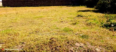 Quick Sale, 1/4 Plot (TWO PLOTS) on Sale in Molo Town at 6.8M - Image 6