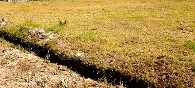 Quick Sale, 1/4 Plot (TWO PLOTS) on Sale in Molo Town at 6.8M - Image 5