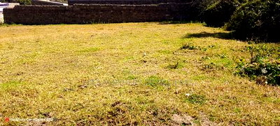 Quick Sale, 1/4 Plot (TWO PLOTS) on Sale in Molo Town at 6.8M - Image 3