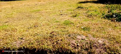 Quick Sale, 1/4 Plot (TWO PLOTS) on Sale in Molo Town at 6.8M - Image 2