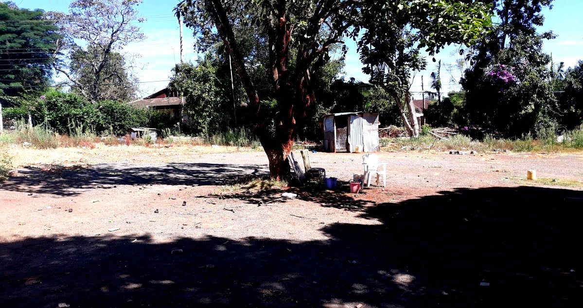 1/2 Acre Westlands Gem at KSh 150M