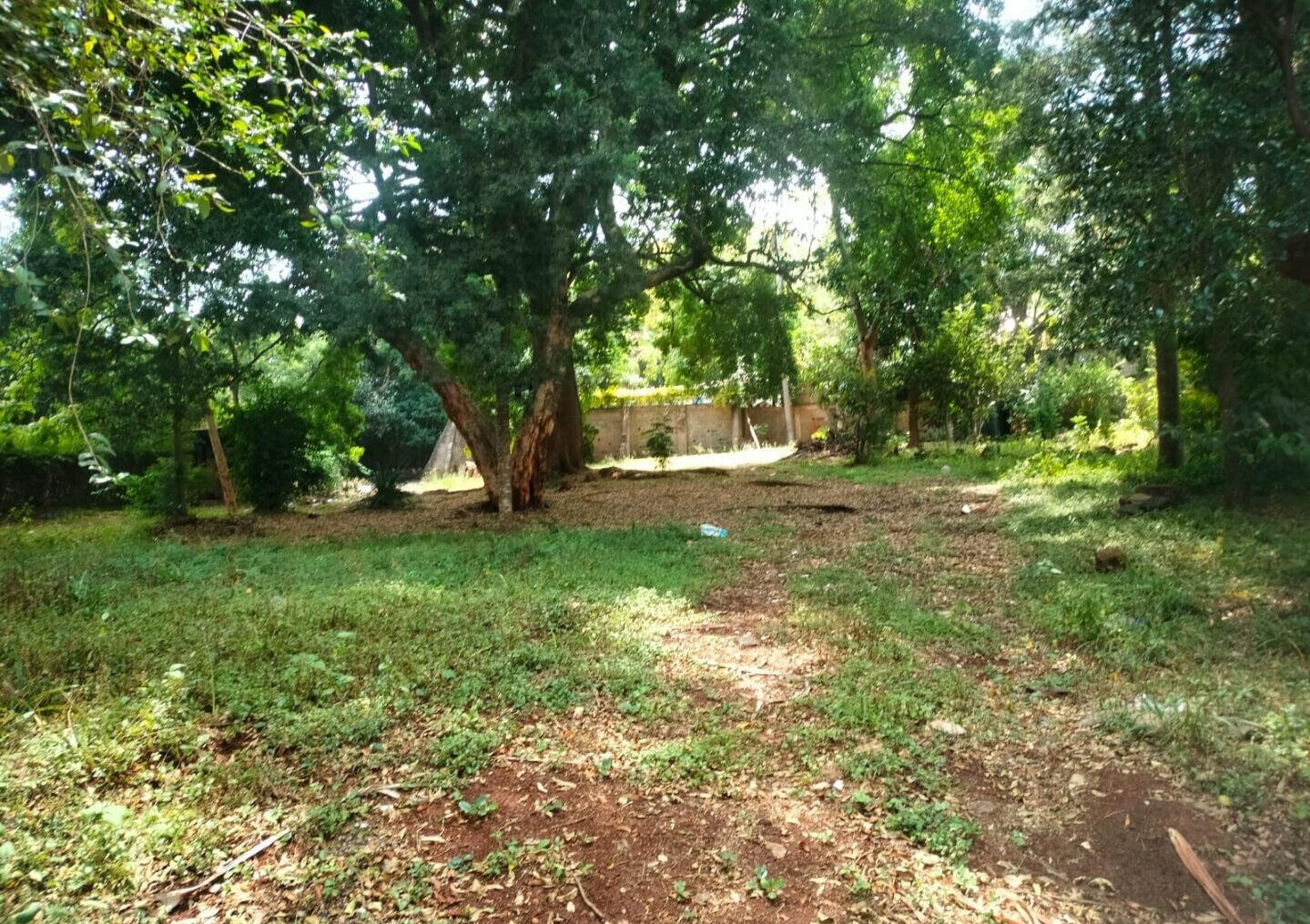 KSh 480K 4BR Haven with Garden