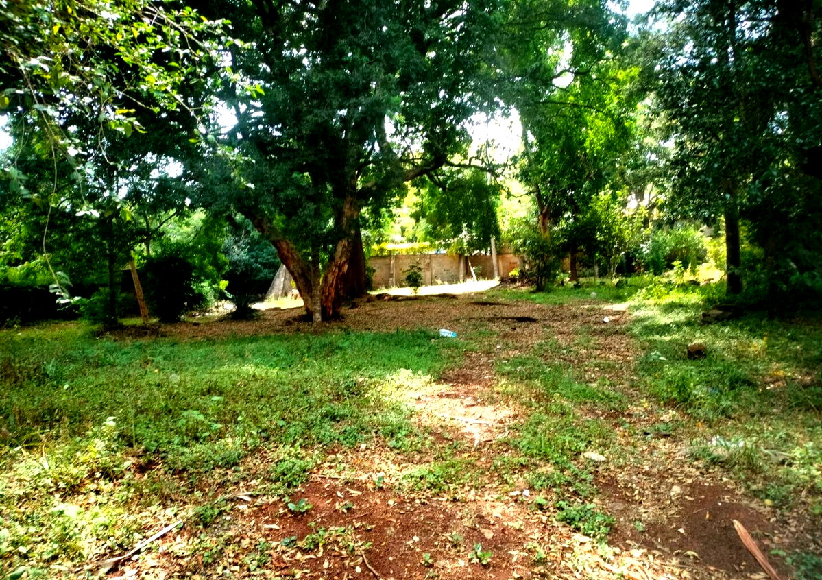 KSh 480K 4BR Haven with Garden