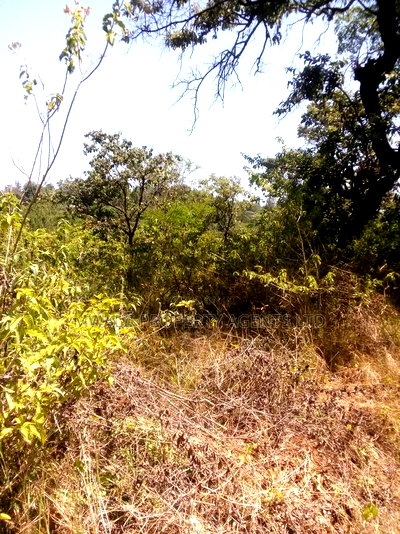 3 Acres ,NDUUMONI, Kitui - Image 2