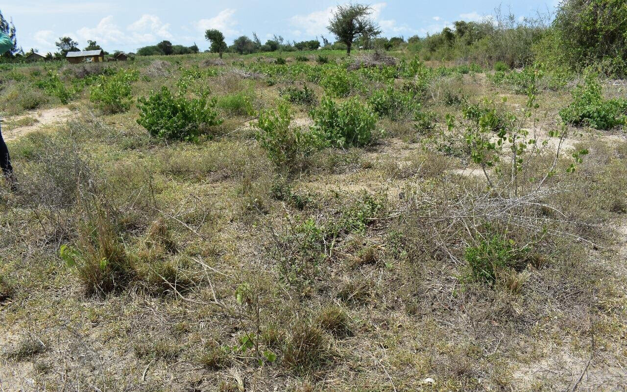 Garden Land with Parking at KSh 650K