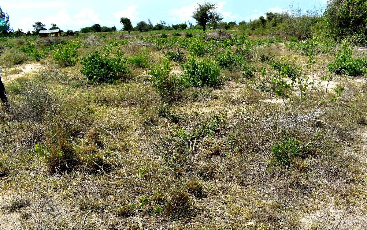 Garden Land with Parking at KSh 650K