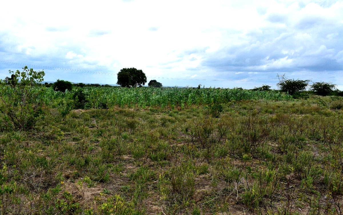Garden Land with Parking at KSh 650K
