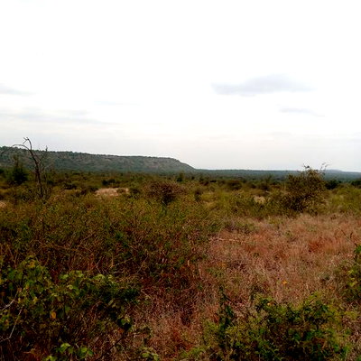 30 Acres Farming Land Lentoko - Image 3