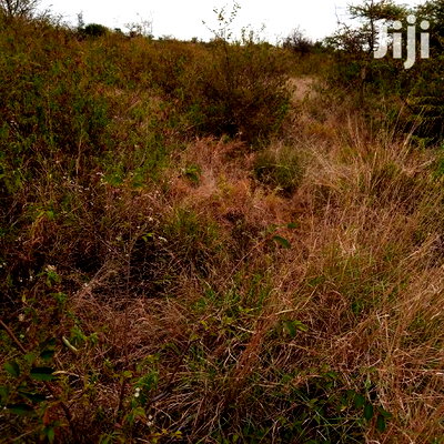 30 Acres Farming Land Lentoko - Image 6