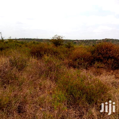 30 Acres Farming Land Lentoko - Image 2