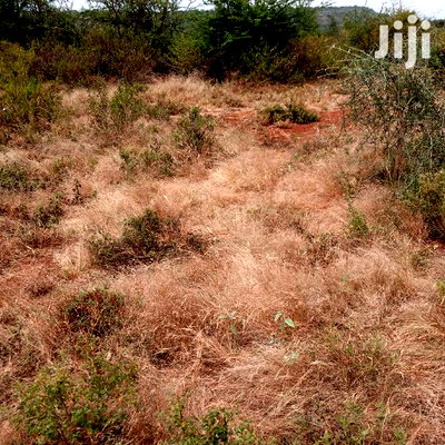 30 Acres Farming Land Lentoko - Image 1
