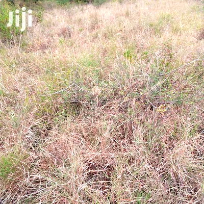30 Acres Farming Land Lentoko - Image 5