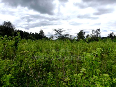 Quarter Acre Plot in Ngong, Matasia 1km From the Tarmac - Image 3
