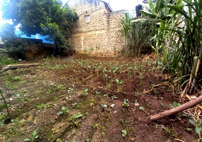 Garden Plot in Kahawa West