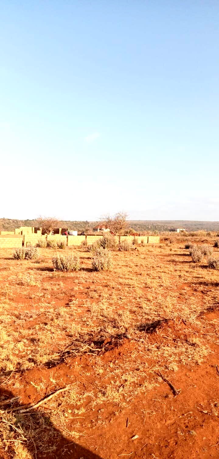50x100 Plot Under 1.5M - Ngong