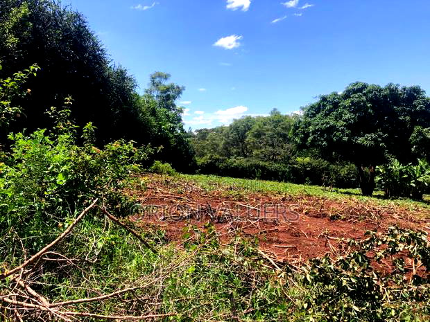 Prime Residential Plot in Njathaini Plot