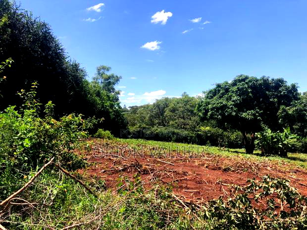 Prime Residential Plot in Njathaini Plot