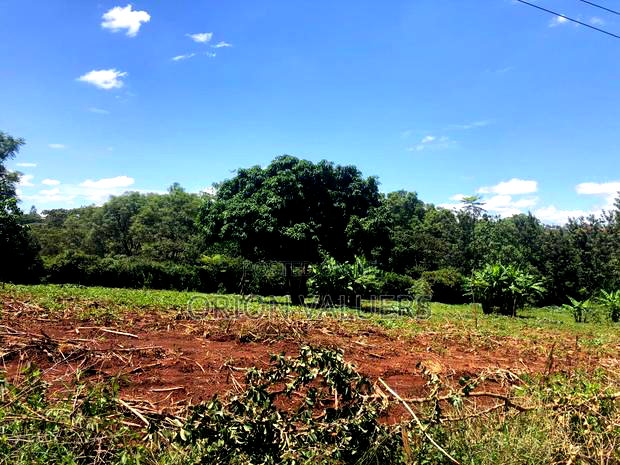 Prime Residential Plot in Njathaini Plot