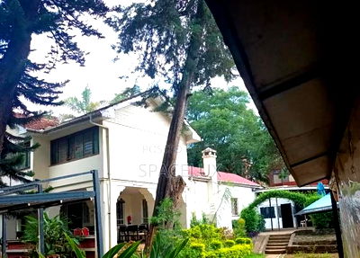 Office/ Restaurant - Image 2