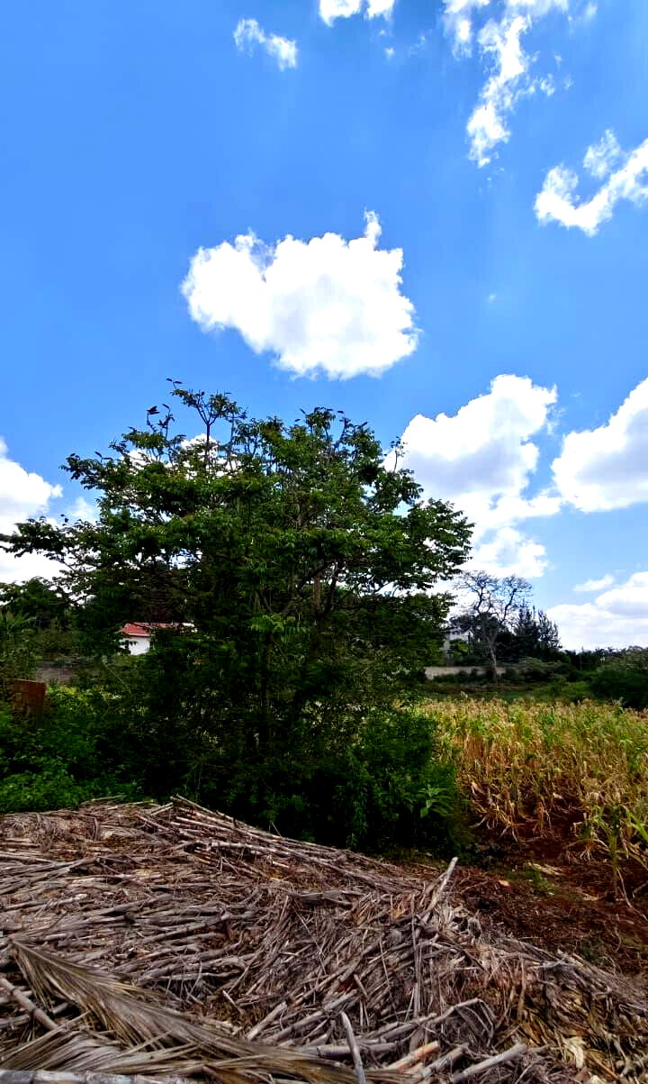 1.2-Acre Plot with Garden in Nyari