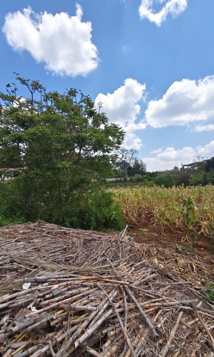 1.2-Acre Plot with Garden in Nyari