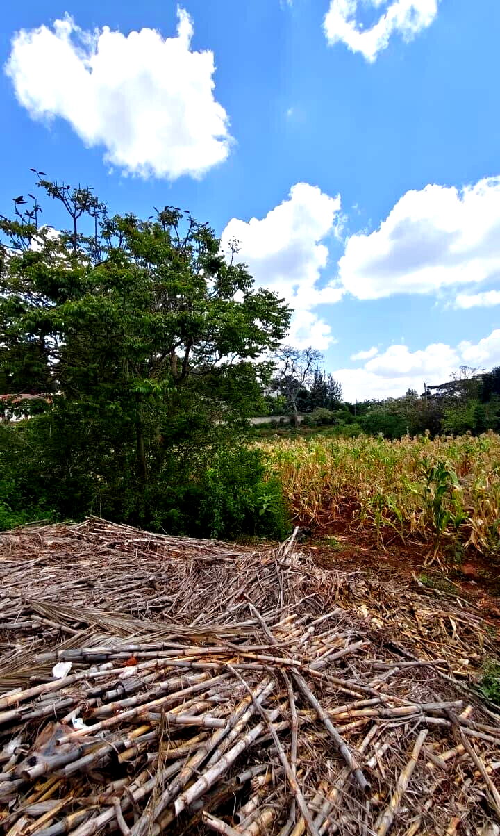 1.2-Acre Plot with Garden in Nyari