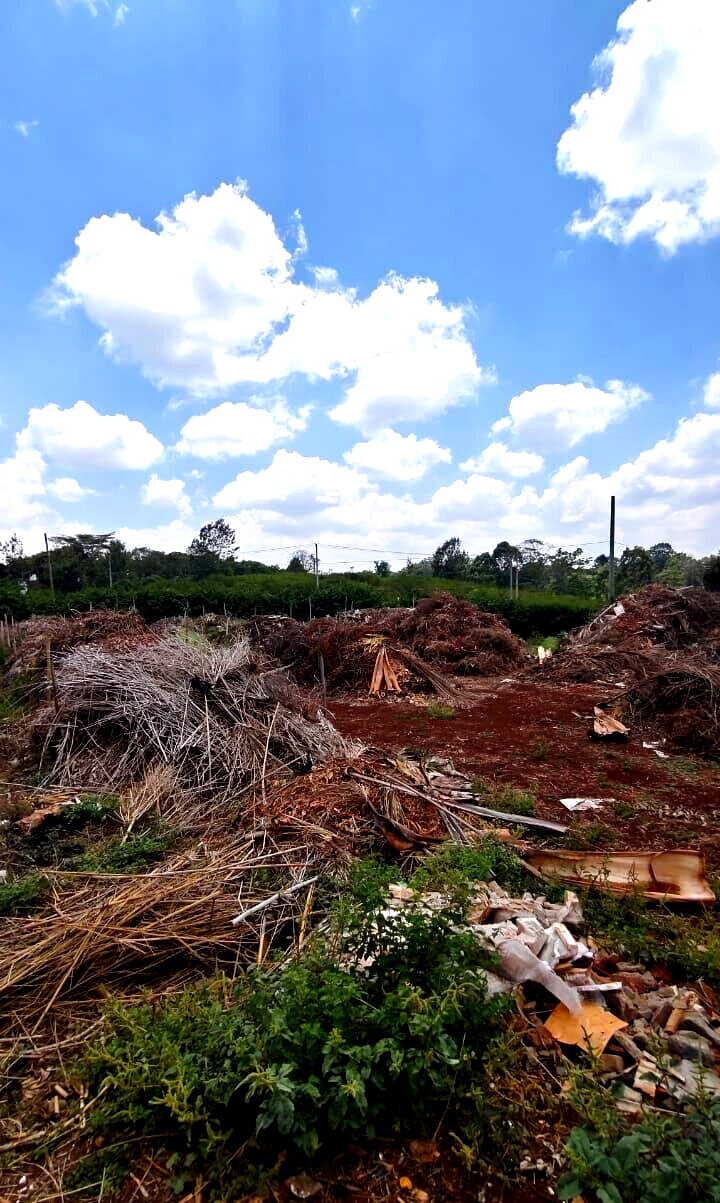 1.2-Acre Plot with Garden in Nyari