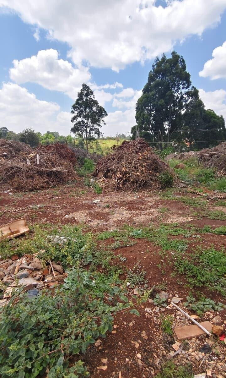 1.2-Acre Plot with Garden in Nyari