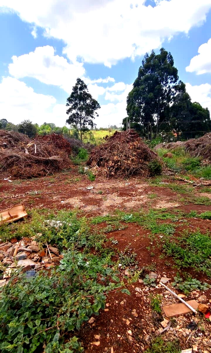 1.2-Acre Plot with Garden in Nyari