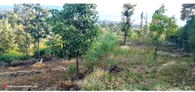 Quick Sale !! 1/2 Acre in Milimani Nakuru - Image 1