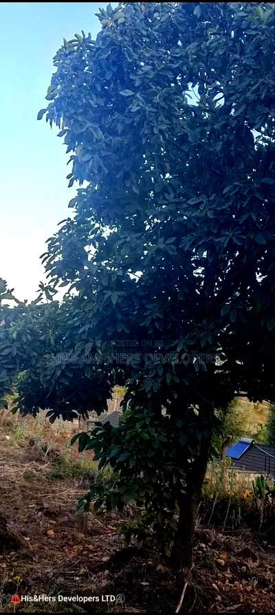 Quick Sale !! 1/2 Acre in Milimani Nakuru - Image 4