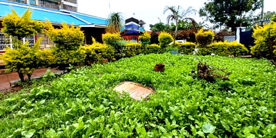 3BR Bungalow with Garden at KSh 45K