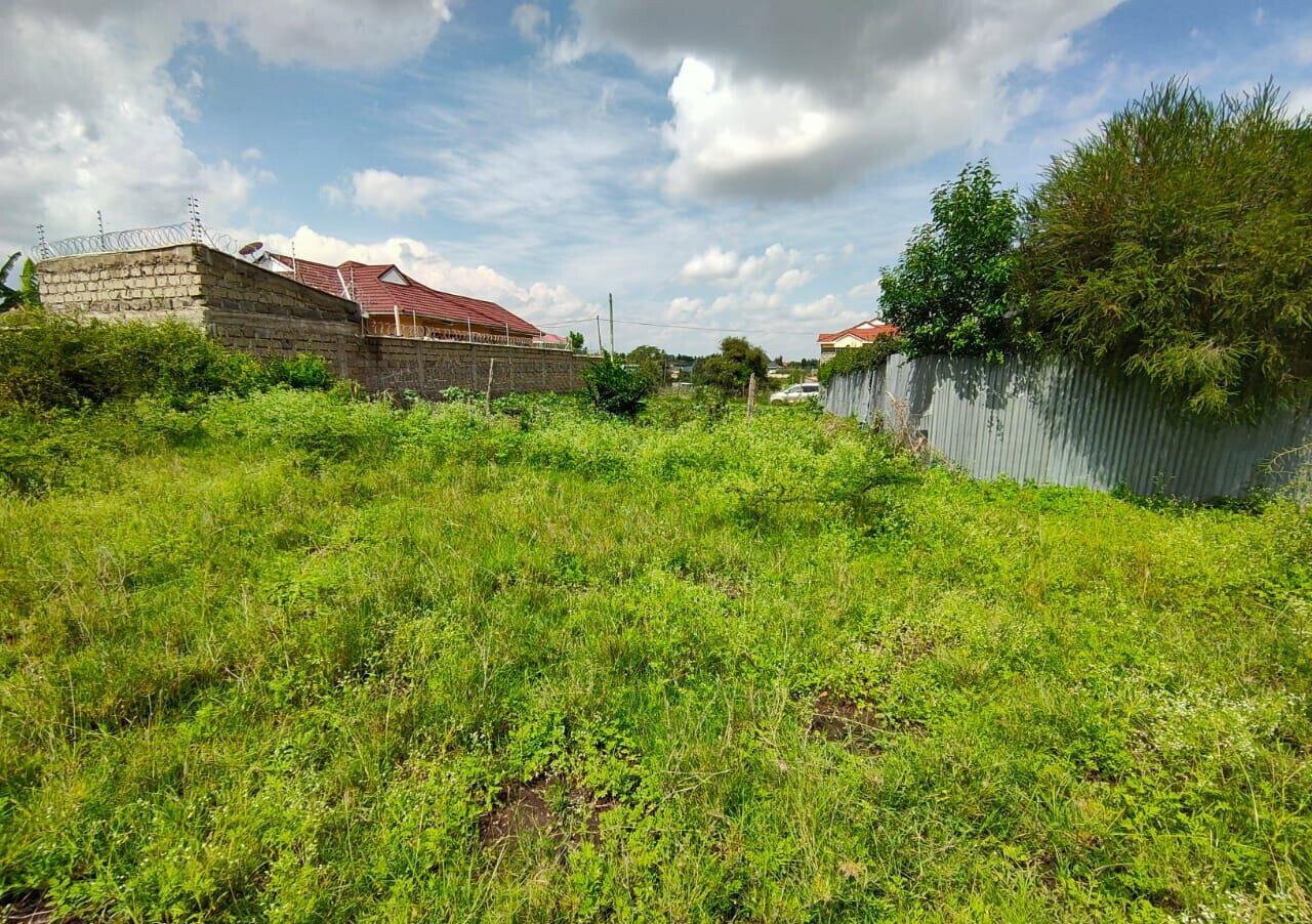 1/8 Acre Garden Plot with Parking