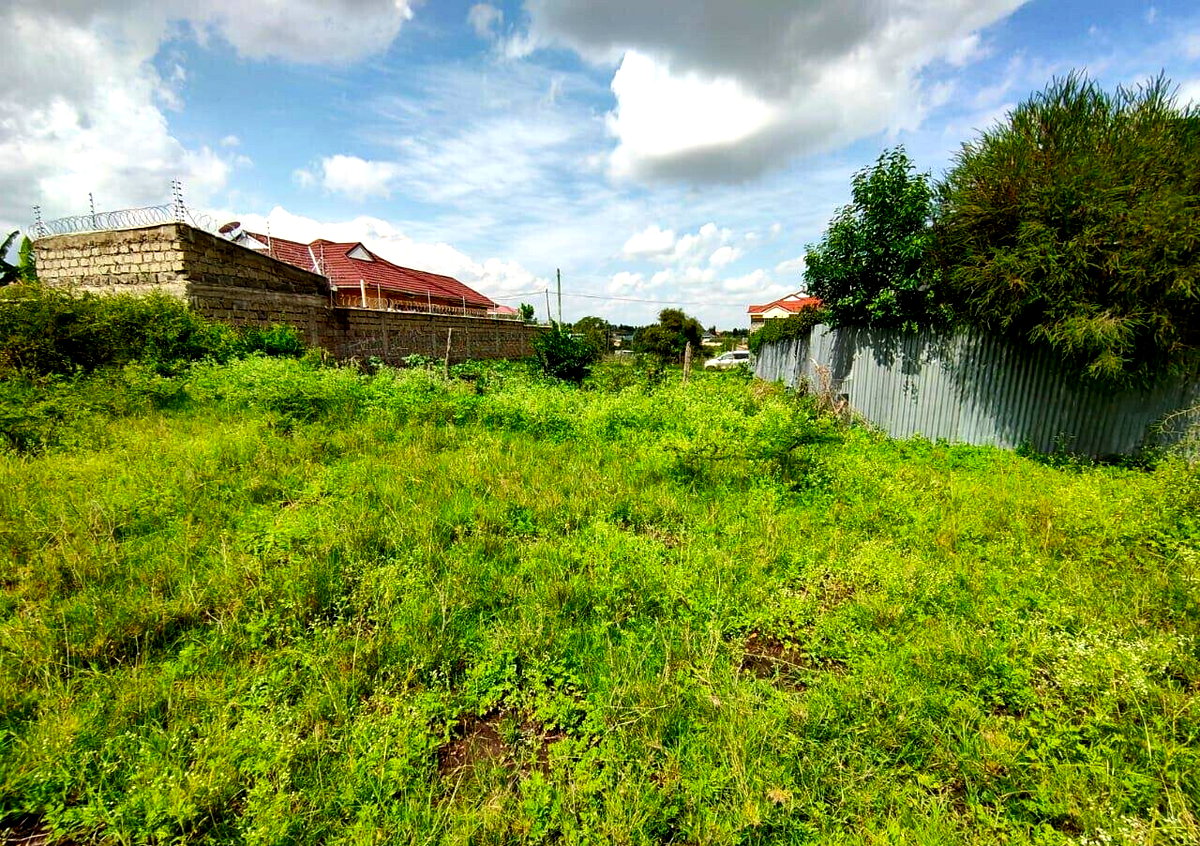 1/8 Acre Garden Plot with Parking