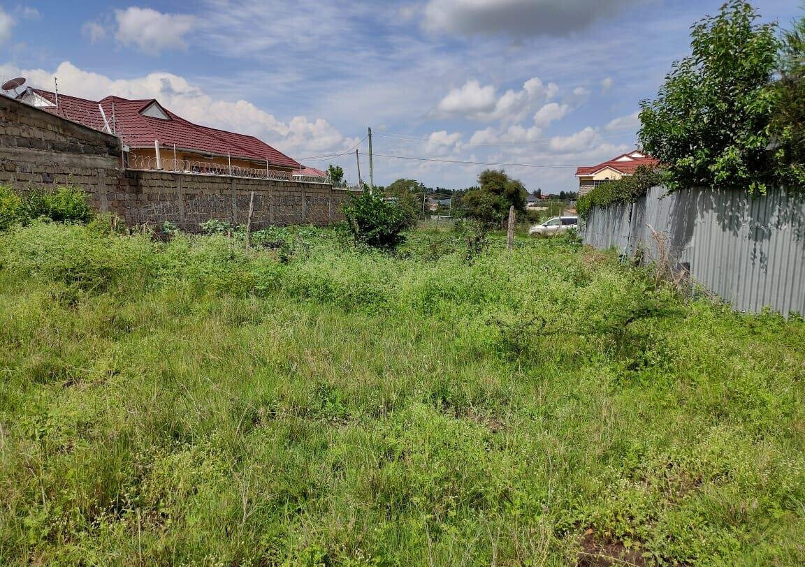 1/8 Acre Garden Plot with Parking