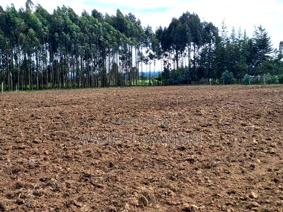 0.5 Acre Plots in Gatimu - Image 1