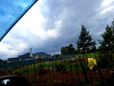 0.5 Acre Plots in Gatimu - Image 3