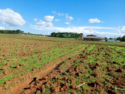 1/8acres and 1/4acres in Kibulgeny Kiplombe - Image 3