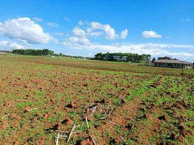 1/8acres and 1/4acres in Kibulgeny Kiplombe - Image 1