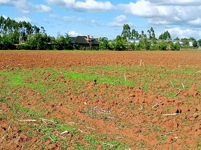 1/8acres and 1/4acres in Kibulgeny Kiplombe - Image 2