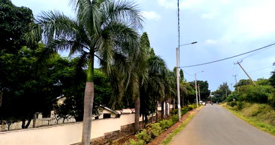 Garden Townhouse on 0.298 Acres